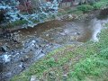 DSC00279