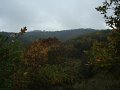 DSC00292