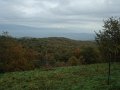 DSC00303
