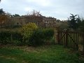 DSC00304