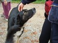 DSC00305