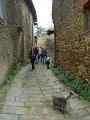 DSC00312
