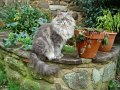 DSC00316