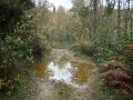DSC00323