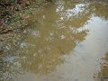 DSC00324