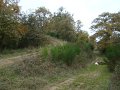 DSC00327
