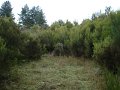 DSC00328