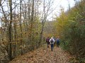 DSC00329