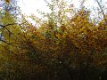 DSC00330