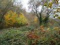 DSC00331