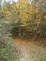 DSC00333
