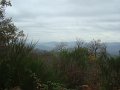 DSC00334