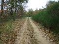 DSC00335