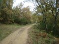 DSC00338
