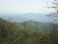 DSC00340