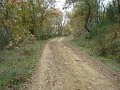 DSC00341