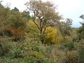 DSC00342