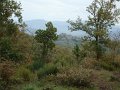 DSC00343