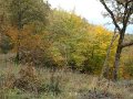 DSC00344