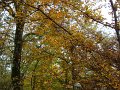 DSC00345