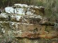 DSC00346
