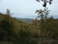 DSC00347