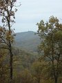 DSC00349