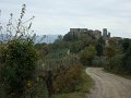 DSC00356