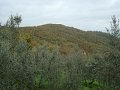 DSC00359