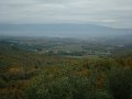 DSC00361
