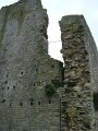 DSC00363