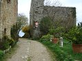 DSC00370