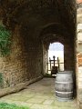 DSC00377