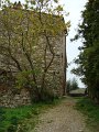 DSC00378