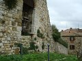 DSC00381