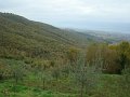 DSC00393