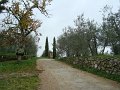 DSC00401