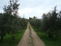 DSC00404