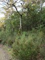 DSC00408