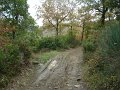 DSC00410