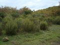 DSC00412