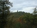 DSC00413
