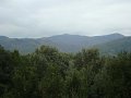 DSC00425