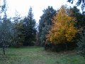 DSC00429