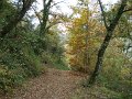 DSC00430