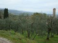 DSC00440