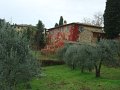 DSC00442