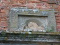 DSC00446