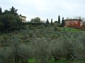 DSC00451