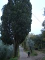 DSC00452